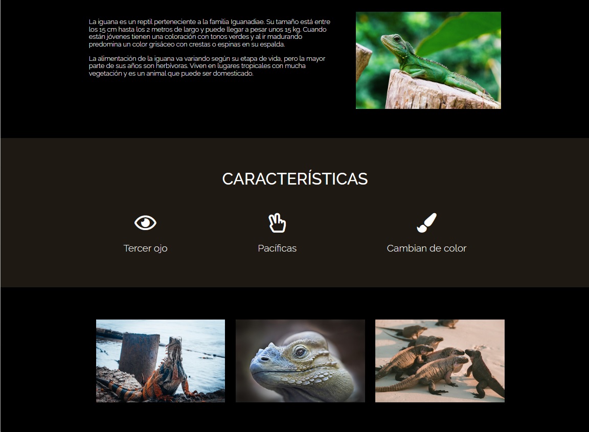 web sobre iguanas